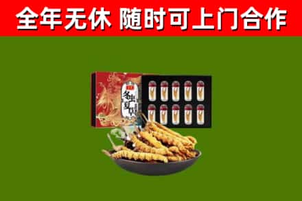 阜城回收冬虫夏草价格